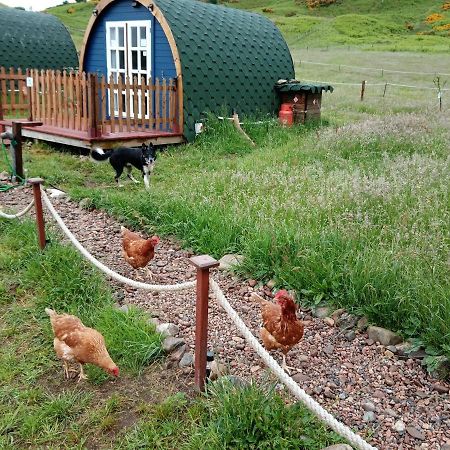 Wee Hoose Glamping Pod 1 Hotell Skail Exteriör bild